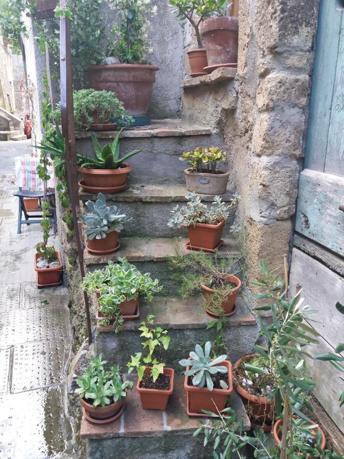 La Bico' Lägenhet Pitigliano Exteriör bild